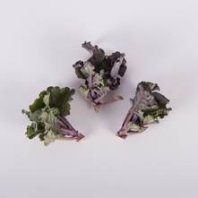 Traditional Kalettes