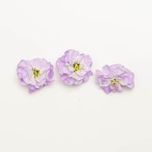 Lilac Mini Floret