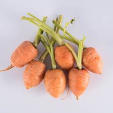 Round Carrots
