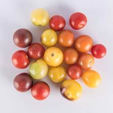 Cherry Specialty Tomatoes