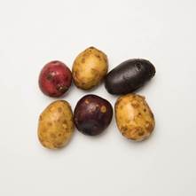 Mixed Potatoes