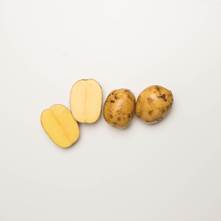 Yellow Creamer Potatoes