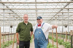 Innovations with Tomato Breeding: TCG Partners with Fred Hempel and Artisan Seeds Image