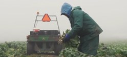 Harvesting Now | October 2016 Image