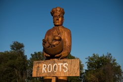 Roots 2017: Innovation Image
