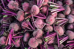 Nutritional Benefits of Beets – and Disease-Fighting Properties Image