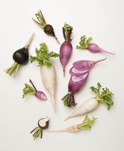 Root Vegetable Sizing Guide From The Chef’s Garden Image