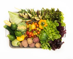 Food & Wine Best Produce Delivery Services Image