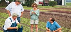 How the Farm-to-Table Movement Is Helping Grow the Economy Image