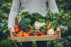 How to Buy Food Directly From Farmers : Get fresh-picked produce and more delivered to your door. Image