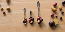 Insights into Potato Sizes – and the Beauty of Small Potatoes Image
