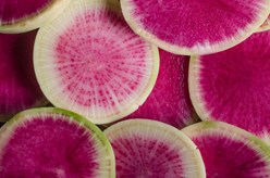 Watermelon Radish Image