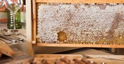 One Ingredient Four Ways: Honey Image