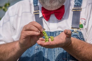 Farmer Lee Jones shares his top 10 summer crops for 2018 Thumbnail