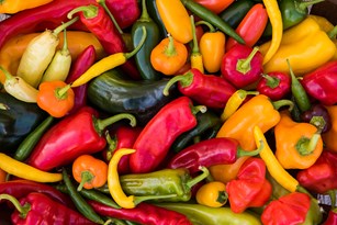 Farm-Fresh Peppers: Experience the Rainbow Thumbnail