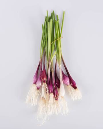 Allium-Onion-Purplette-Ultra-Isolated