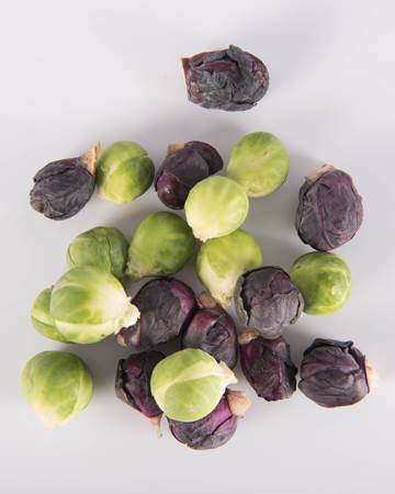 Cruciferous-Brussels Sprouts-Mixed Petite-Isolated