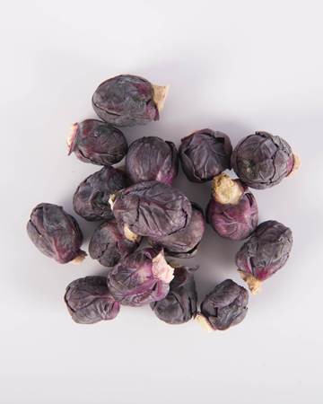 Brussels Sprouts-Red-Petite-Isolated