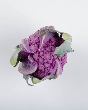 purple-cauliflower-isolated