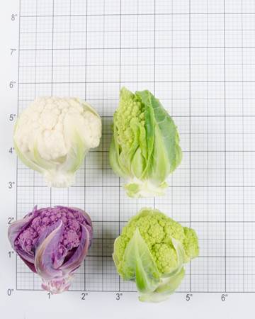 cauliflower-size-grid