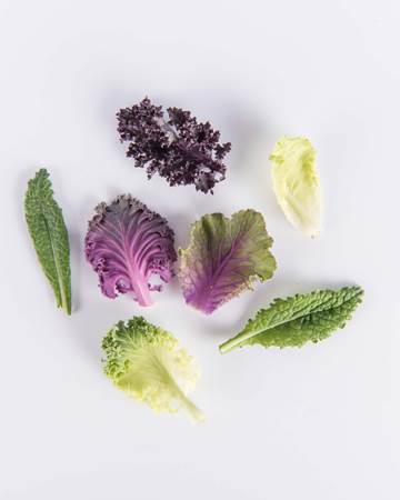 Kale-Exotic-Petite-Isolated