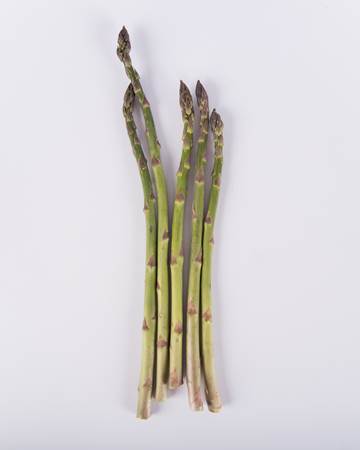 Asparagus-Green-Pencil-Isolated