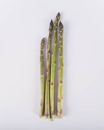 Asparagus-Green-Standard-Isolated