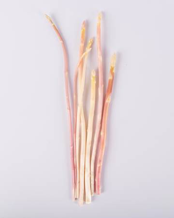 Asparagus-Pink-Blush-Baby-Isolated