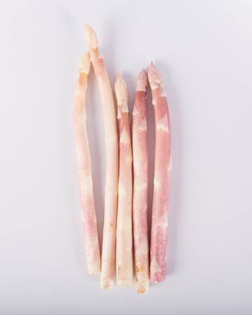 Asparagus-Pink-Blush-Standard-Isolated