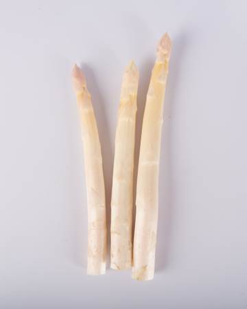 Asparagus-White-Jumbo-Isolated