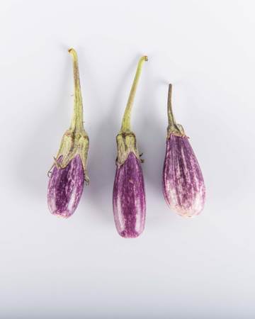 Eggplant-Fairy-Tale-Baby-Isolated