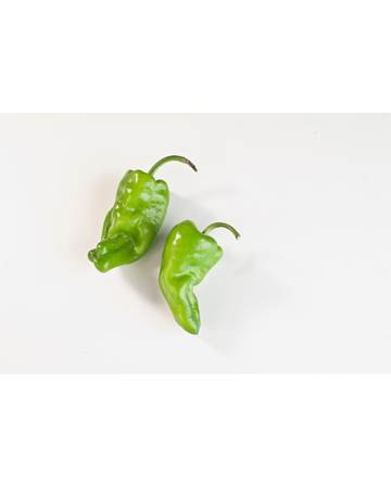 padron-the-chefs-garden