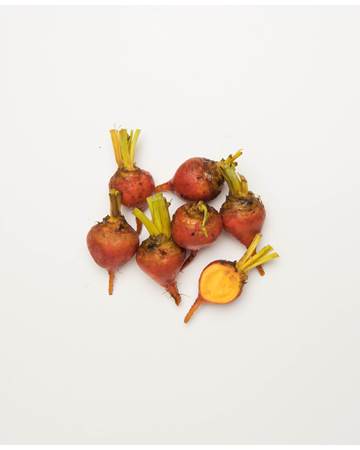 Beets-Gold-Ultra-1-of-1