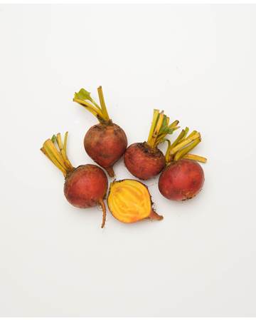 Beets-Gold-Young-1-of-1