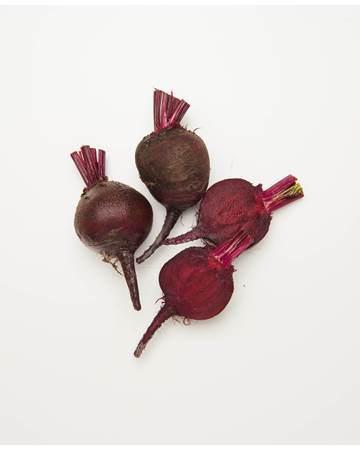 Beets-Bulls-Blood-Young-1-of-1