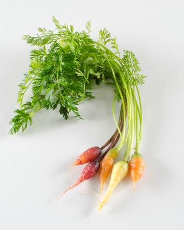 Carrots-Mixed-Petite-Isolated
