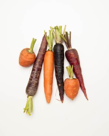 Carrots-Mixed-Young