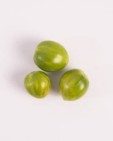 Green Bee Tomato