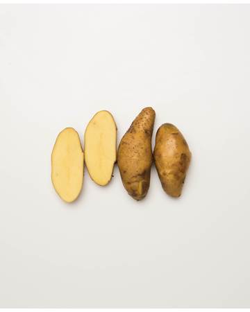 Potato-Austrailian-Cresent-B-1-of-1