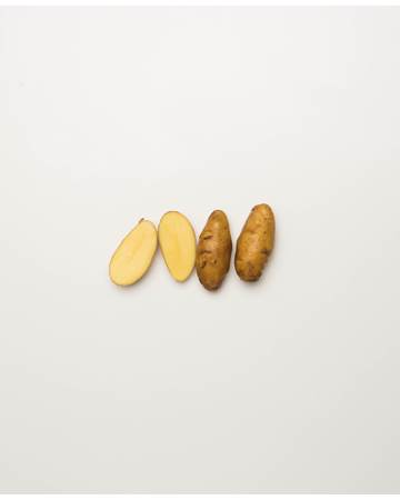 Potato-Austrailian-Cresent-D-1-of-1