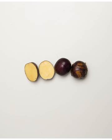 Potato-Huckleberry-C-1-of-1
