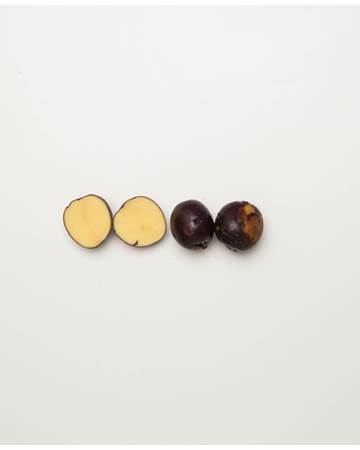 Potato-Huckleberry-D-1-of-1