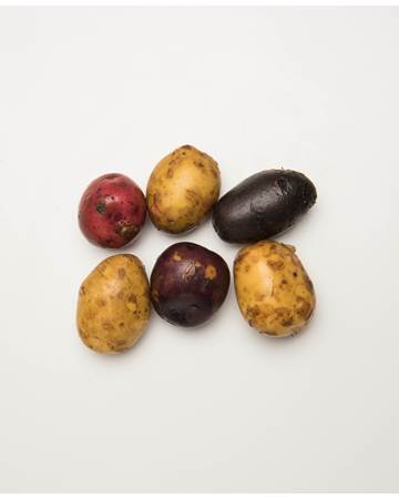 Potato-Mixed-B-1-of-1