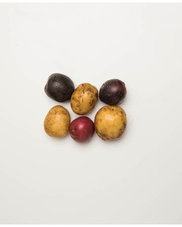 Potato-Mixed-C-1-of-1-2